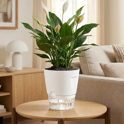 Hayder 5/6/7 Inch Self Watering Pots for Indoor Outdoor Plants 6 Pack - color: White