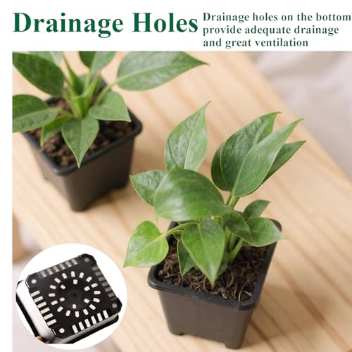 25 Packs Square Nursery Pots for Plants 3.5 Inch Seedling Pots with Holes - size: 3.5 Inch