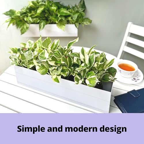 LaLaGreen Wall Planters for Outdoor Plants (30in, 2 Pack) Window Flower Pot - size: 36" x 2 Pack