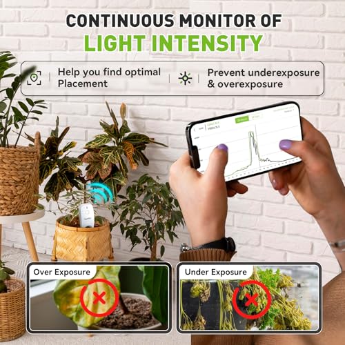 RainPoint 3-in-1 APP Remote Monitoring WiFi Soil Meter - CAN NOT USE Alone - size: Sensor Only(Hub Not Included)