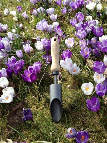 DeWit Crocus Bulb Planter – Hand Tool for Easy Small Bulb Planting, Tempered Boron Steel with Ash Hardwood Handle