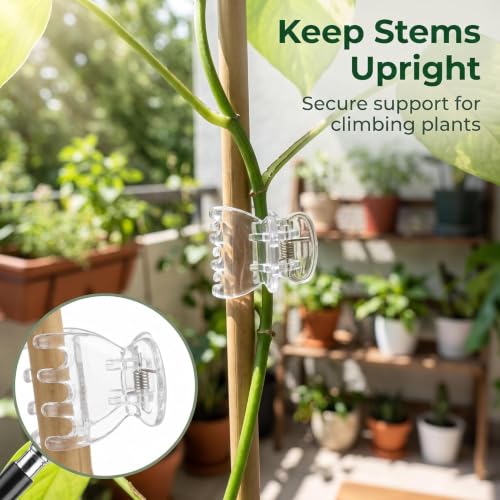 50Pcs Transparent Plant Orchid Clips Flowers Support Clear Fixer for Garden Vine Stem Plants Climbing Clasp Transparent 6 Claws Orchid Clips Plastic Butterfly Plant Support Structures