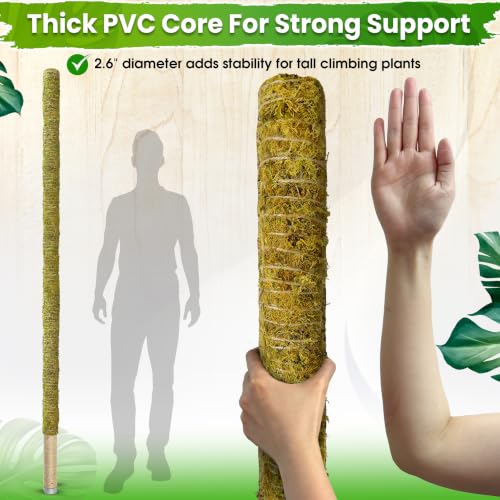 DUSPRO 80" Large Stackable Moss Pole for Plants Monstera, (1pc., 80'') - size: 80'' MOSS POLE for SUPER-BIG PLANTS