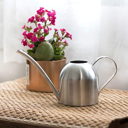 Watering Can for Indoor Plants, 450ml/15oz Stainless Steel - size: Silver 15 oz