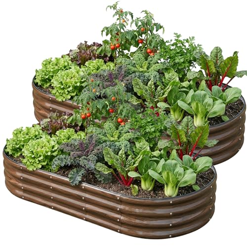 SnugNiture 2 Pcs 6x3x1ft Oval Metal Raised Garden Bed for Vegetables, Brown - color: Brown, size: 6×3×1ft(2 Pack)