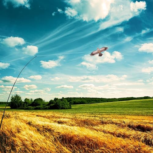 eyijklzo Bird Scarer Hawk Flying Kite with 13ft Telescopic Pole-Maroon - style: Maroon-with 4m pole
