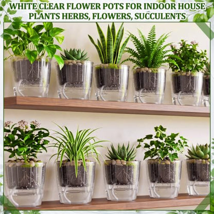 Self Watering Plant Pots, 7.1'', Transparent, 6 Pcs - color: Transparent, size: 7.1''