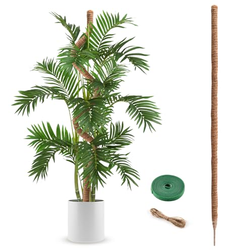 Moss Pole 63 Inch Monstera Plant Sticks Support Tall Long Stakes for Plants - color: 1 Pack