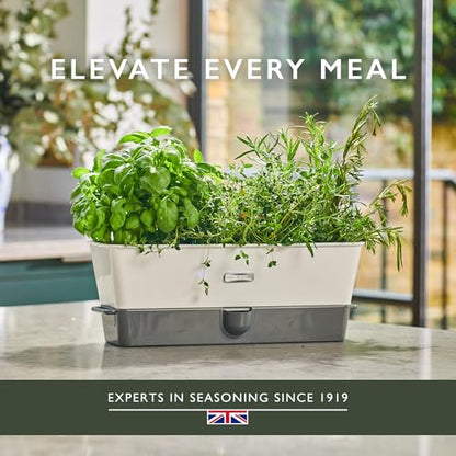 Cole & Mason Burwell Self-Watering Potted Herb Keeper - size: Triple Fresh Herb Keeper