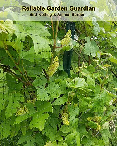 KLEWEE Bird Netting, 7.5x25 FT Heavy Plastic Duty Garden Netting Deer Fence - size: 7.5 x 25 FT