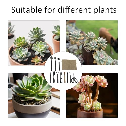 13Pcs Succulent Tools Set Mini Garden Tools Kit for Indoor Bonsai Cactus Care with Pruning Shears Scissors Transplanting Tools for Houseplant
