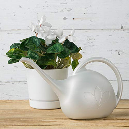 Novelty 30602, Pearl Indoor Watering Can, 1/2 Gallon - color: Pearl