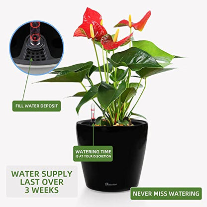 Dexceder 9x8 Self Watering Planter (Black High Gloss) - color: Black, size: 9x8