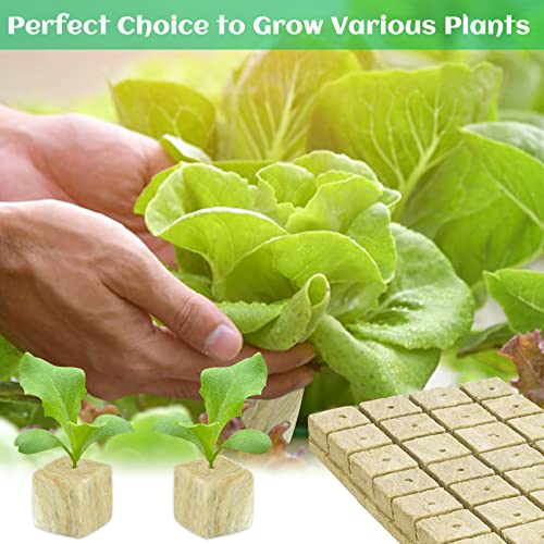 Legigo 2 Inch Rockwool Cubes Seed Starter Plugs for Hydroponics, 96 Plugs - color: 2 Sheet, size: 2" Plugs