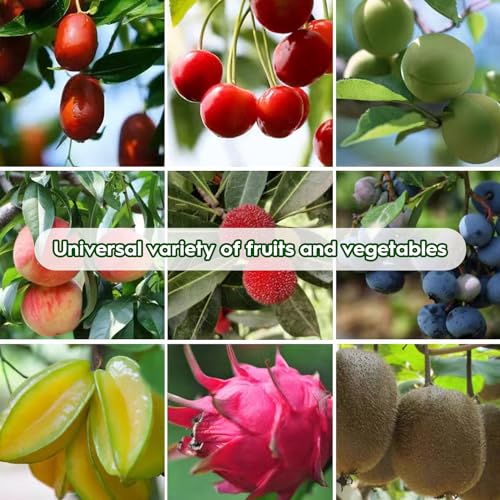 100 PCS 8"x12" Fruit Protection Bags, Reusable Fruit Tree Netting Bags