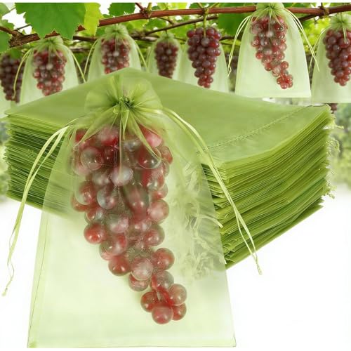 10Pcs/Set Fruit Protection Bags, Green Netting Cover Bags Drawstring Mesh Fruit Protectors Pest Barrier for Grapes Trees Veggies (Large, 20x30cm) - color: Medium