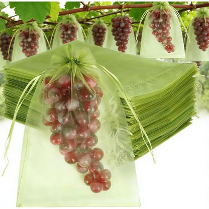 10Pcs/Set Fruit Protection Bags, Green Netting Cover Bags Drawstring Mesh Fruit Protectors Pest Barrier for Grapes Trees Veggies (Large, 20x30cm) - color: Medium