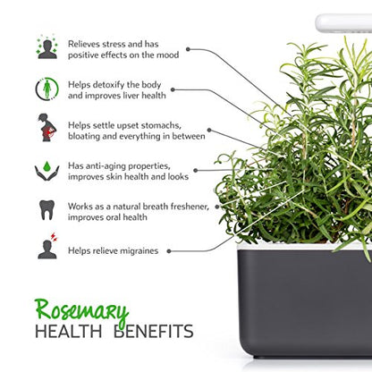 Click and Grow Smart Garden Rosemary Plant Pods, 3-Pack