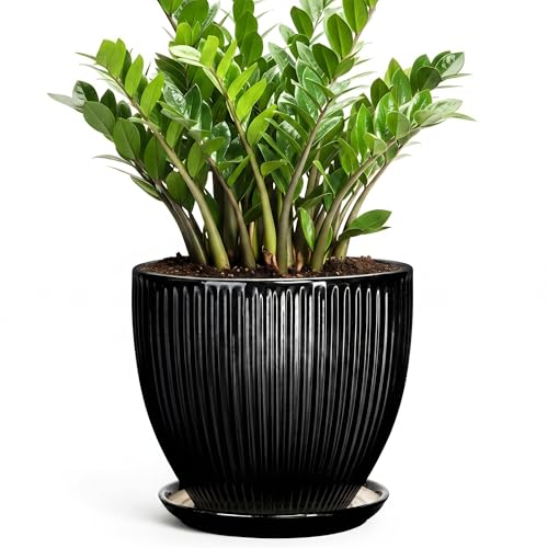 10 Inch Planter, Ceramic Plant Pots with Saucer, Black - color: Black, size: 10 Inch