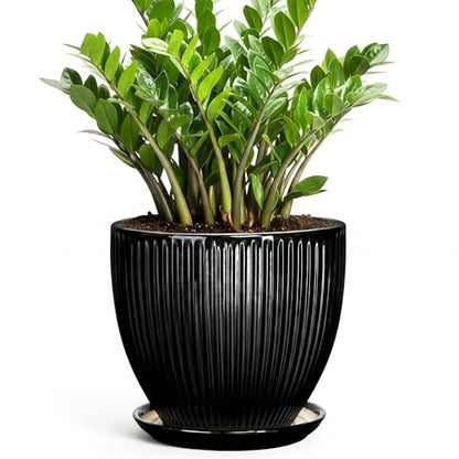 10 Inch Planter, Ceramic Plant Pots with Saucer, Black - color: Black, size: 10 Inch