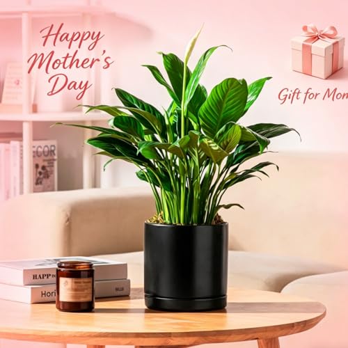vancasso Ceramic Plant Pots, 3 Piece Planters for Indoor Plants, Black - color: Black