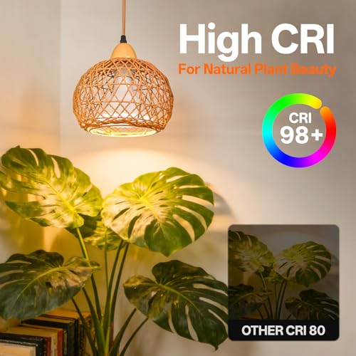 Bstrip Hanging Grow Light for Indoor Plants 18W - size: Rattan Lantern-Hanging