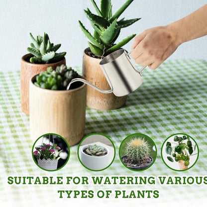 Small Watering Can for Indoor Plants, 12 OZ Mini Flower Watering Pots