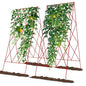 Cucumber Trellis 2 Pack,Foldable A-Frame Garden Trellis - color: Garnet Red, size: 39.4" H