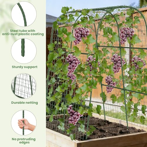 Cucumber Trellis, Metal Garden Arch Trellis for Raised Bed, 32 x 48inch U-Shape Garden Trellis for Climbing Plants Outdoor, Vegetables Fruit Plant Support with Netting, Gardening Supplies (Green) - size: 32 x 48 inch