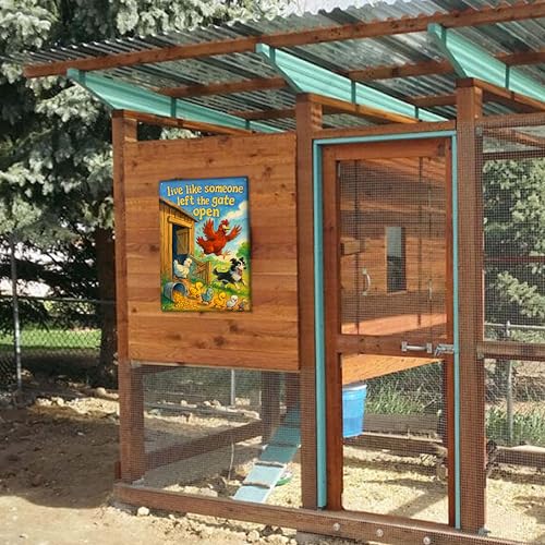 Live Like Someone Left the Gate Open Metal Chicken Signs for Outside - color: Gate Open