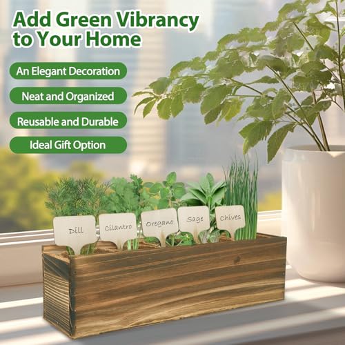 5 Herb Garden Planter Indoor with Wooden Box, Home Kitchen Seed Starter Kit Including Dill, Cilantro, Oregano, Sage, Chives, Birthday, Mothers Day, House Warming, Gardening Gifts for Women, Mom - color: B-Herb