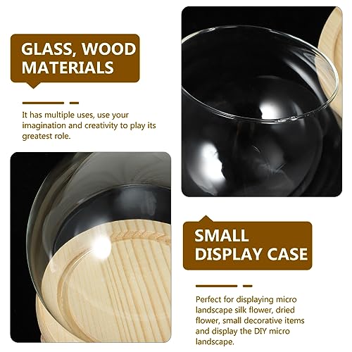 HOMSFOU Glass Dome Display Case 4.72 Inch Clear Spherical Cloche with Base for Diy Micro Landscape Preserved Flower Display and Home Decor