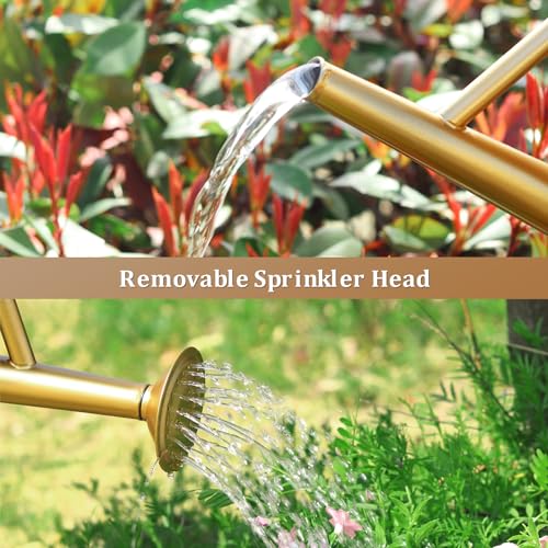 Gold Watering Can for Outdoor&Indoor Plants，1 Gallon - color: Gold