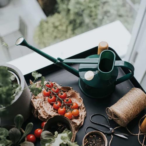 Indoor Plastic Watering Can | The HAWS Langley Sprinkler - One Pint | Pot Waterer | Fine Spray Rose | Recycled - Black - color: Black