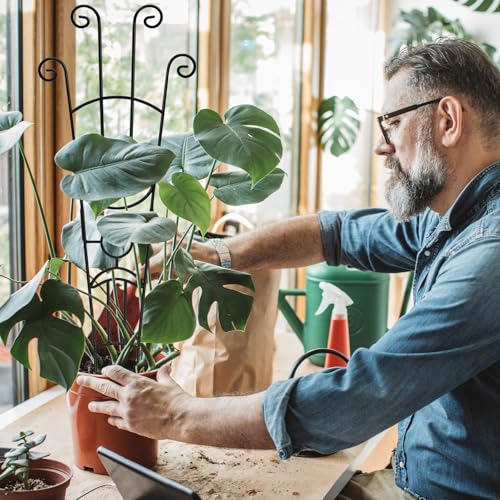 Coomin 32.6in Monstera Plant Support Trellis for Indoor Plants, 2P - size: 32in,rectangular/2p