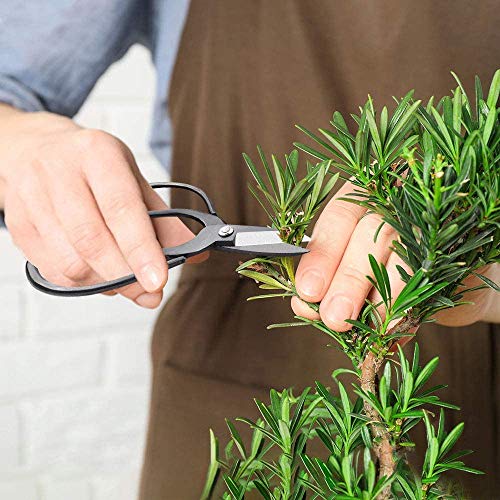 MOSFiATA Bonsai Tools Set 13Pcs, Bonsai Essentials with PU Leather Bag, High Carbon Steel Succulent Trimming Kit, for Pruning, Raking, Training Plants, Ideal Gardening Gifts - size: Bonsai Tools 13Pcs