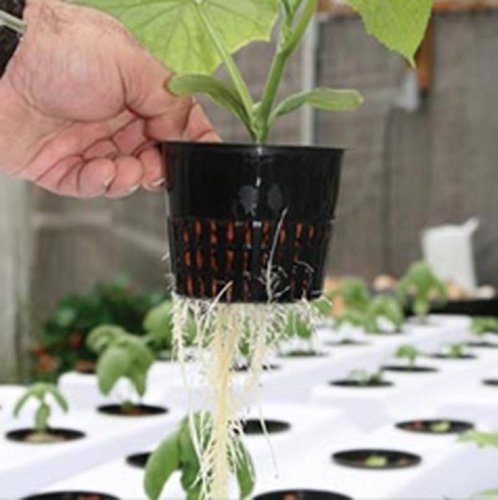 R&M Brand NP3, Hydroponic Net Pot for Plants, 3 Inch, 48 per Bag - size: 48ct