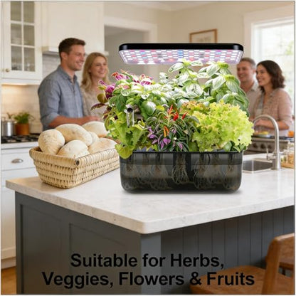 52 Pack Hydroponic Seed Starter Refill Kit - Compatible with Aerogarden & Most Indoor Growing Systems - Includes Grow Sponges,Pod Labels,A&B Plant Food Nutrients (24 Sponges&Labels + A&B Nutrients)
