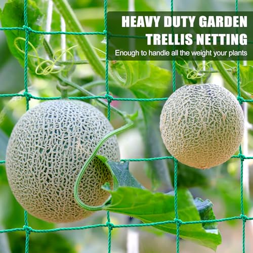 Trellis Netting for Climbing Plants, Cucumber/Tomato Garden Trellis Netting - size: 6.6x9.85 FT (27 Strands)