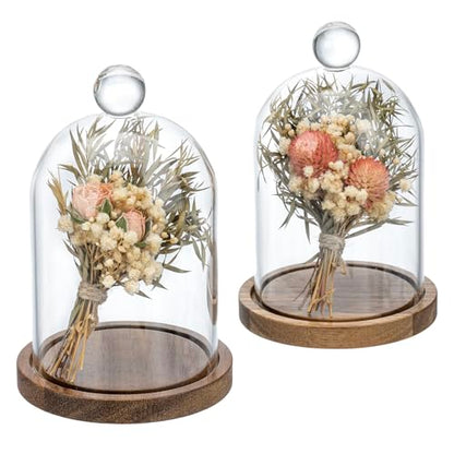 MyGift Mini Clear Glass Bell Display Cloches with Premium Acacia Solid Wood Base, Decorative Dome Cover Stands for Small Heirloom Jewelry Curios Keepsakes, Set of 2