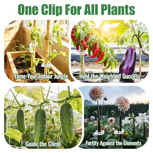 300Pcs Thickened Tomato Clips, Plant Support Clips Plastic Trellis Clips - color: White