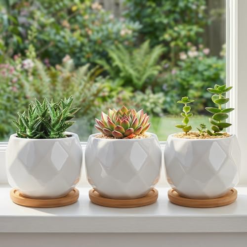 Jucoan 6 Pack Ceramic Succulent Planter Pot with Bamboo Tray, 4 Inch Small White Diamond Shaped Cactus Herb Flowers Planter with Drainage Hole for Indoor Home Office Decor