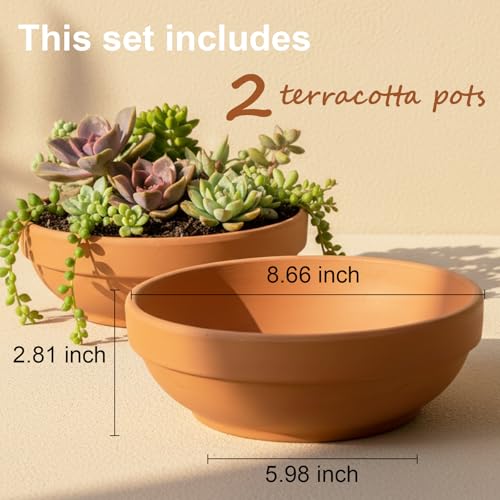 Laerjin Terracotta Pots with Drainage Holes, Large 2 Pack, 8.66 Inch - size: 8.66 inch