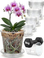 Root-Safe Clear Plant Pots for Indoor: Zero Transplant Shock for Orchids