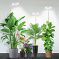 Garpsen Halo Grow Light, Full Spectrum with Gooseneck, 3 Pack - size: White-3Pack
