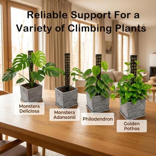 Stackable Small Moss Pole for Monstera Pothos, Fillable Support - size: 4pack-small-black