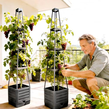 Tomato Planter with Trellis, 57 Inch Self-Watering Planter Box 2-Pack, Grey Planter with Metal Support for Outdoor Indoor Climbing Plants - size: Trapezoid