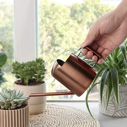 Mini Watering Can, 10oz/300ml Stainless Steel Long Spout Small Watering Can for Indoor Plants Succulents, Herbs (Bronze) - color: Copper