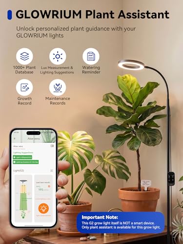 GLOWRIUM Grow Lights for Indoor Plants,Full Spectrum Plant Light with Stand - color: Black-Single Head
