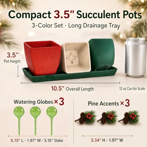 3.5" Christmas Succulent Pots, Plant Pots with Drainage Trays - color: Red,white,green